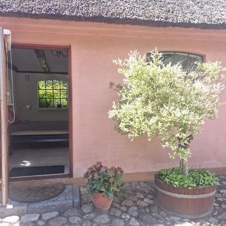 Liebhaveri I Saerklasse Årup Exterior foto