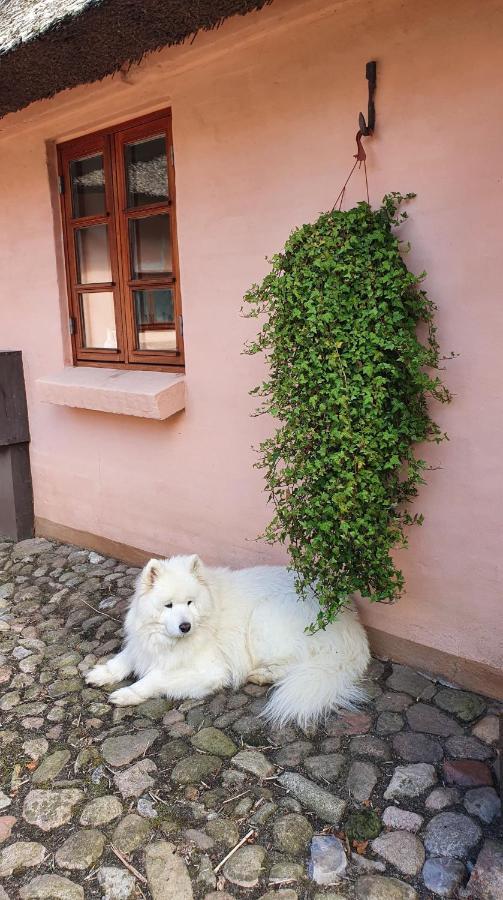 Liebhaveri I Saerklasse Årup Exterior foto